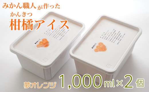 みかん職人が作った柑橘アイス1000ml×2（夢オレンジ×２）