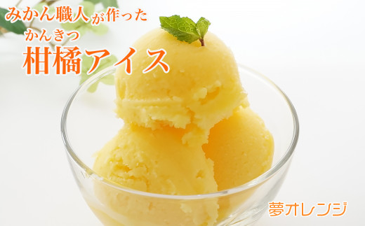 みかん職人が作った柑橘アイス1000ml×2（夢オレンジ×２）
