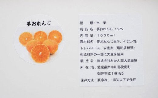 みかん職人が作った柑橘アイス1000ml×2種（夢オレンジ・河内晩柑）