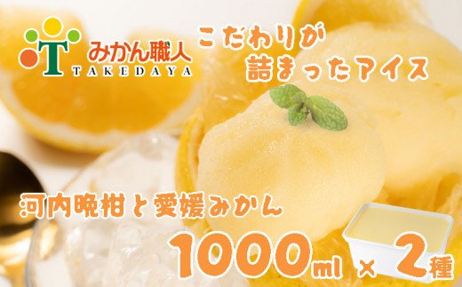 【愛媛県愛南町】みかん職人が作った柑橘アイス1000ml×2種(愛媛みかん・河内晩柑)