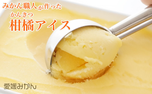 みかん職人が作った柑橘アイス1000ml×2種（愛媛みかん・河内晩柑）