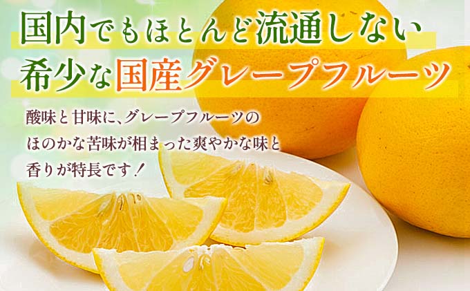 宮崎県日南市のふるさと納税 【セゾン限定】★テレビで紹介された★ 数量限定 グレープフルーツ 月夜実 白 つくよみ 計4kg以上 期間限定 希少 完熟 果物 くだもの 柑橘 オリジナル ブランド 国産 食品 人気 おすすめ デザート スイーツ おやつ おすそ分け お取り寄せ グルメ 産地直送 宮崎県 日南市 送料無料_BBV5-25