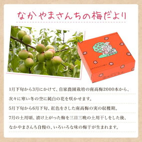 《紀州南高梅》うす塩梅干し 400g〔化粧箱入り〕◇