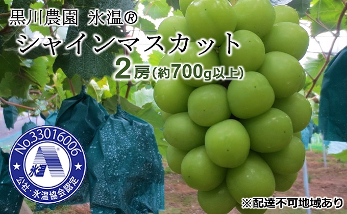 【岡山県高梁市】早期受付 ぶどう 氷温(登録商標) シャインマスカット 2房(1房700g以上) マスカット ブドウ 葡萄 岡山県産 国産 フルーツ 果物 ギフト 黒川農園 果物類