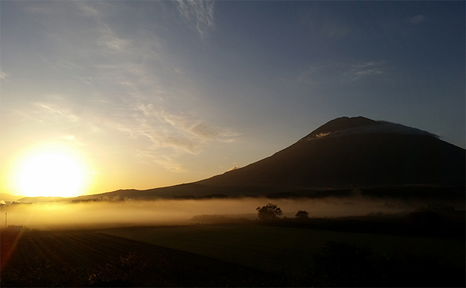 ハンドメイドスキー【pPod】 雑貨 日用品 ファッション 
