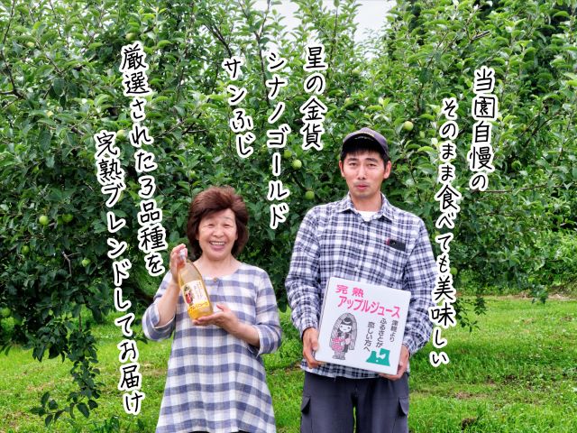 【数量限定】みぃ～farmの完熟アップルジュース1L×6本　青森県鰺ヶ沢町 りんごジュース　 飲料類 果汁飲料 