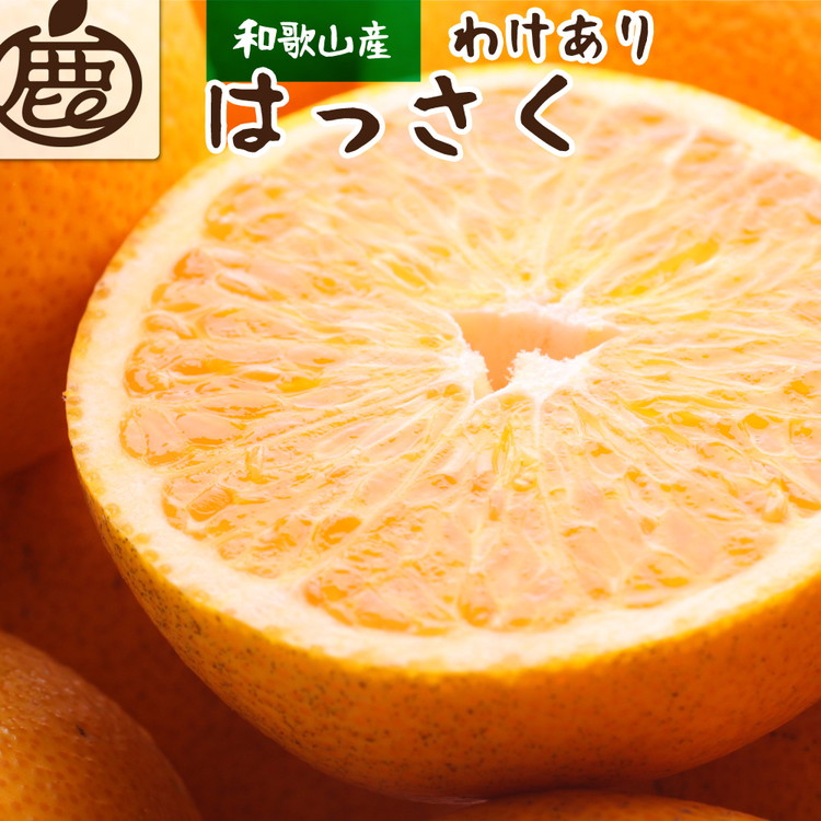 [1月より発送]家庭用 はっさく5kg+250g(傷み補償分) | 八朔みかん わけあり ※2026年1月上旬〜3月下旬頃に順次発送予定 ※北海道・沖縄・離島への配送不可