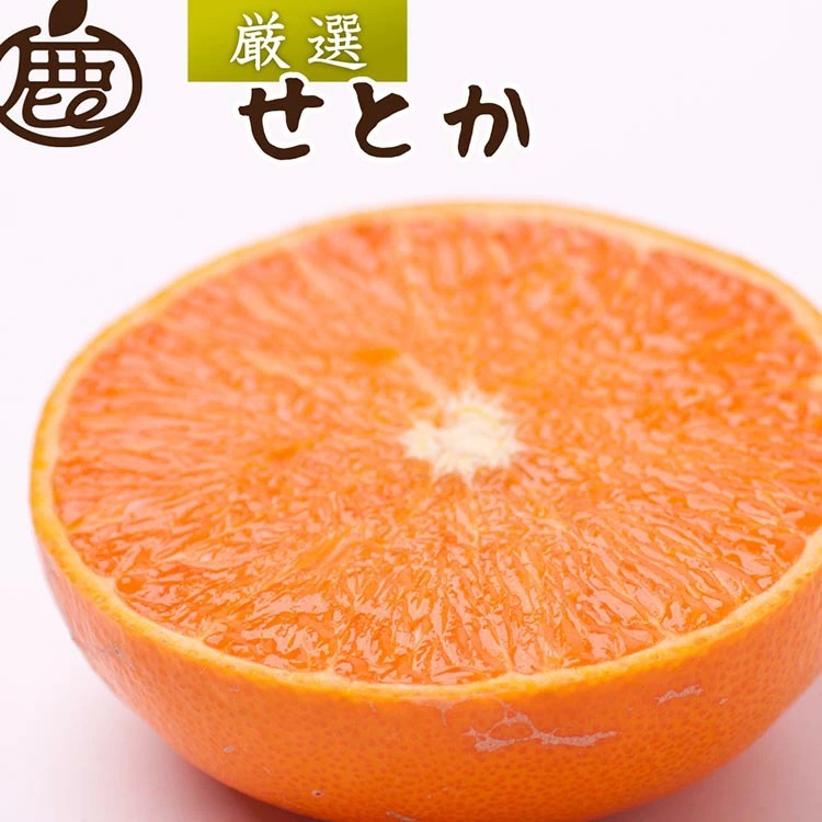 ＜2月より発送＞厳選 せとか2.5kg+2