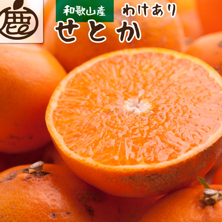 ＜2月より発送＞家庭用 せとか2.5kg+250g（傷み補償分）【柑橘・春みかんの王様】【光センサー選果・食べ頃出荷】訳あり わけあり ワケアリ ◇ ※北海道・沖縄・離島への配送不可 ※2026年2月中旬～3月下旬頃に順次発送予定