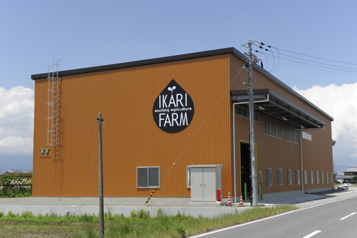 【新米】【7年産】みずかがみ　白米定期便　１２か月で５kgを６回お届け（２か月に1回）【C035W】