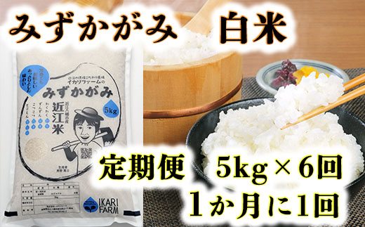 [新米][7年産]みずかがみ 白米定期便 6か月で5kgを6回お届け(1か月に1回)[C036U2]