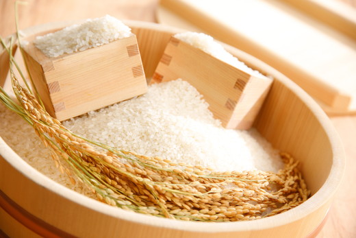 【新米】【7年産】みずかがみ　白米定期便　６か月で５kgを６回お届け（１か月に1回）【C036W】