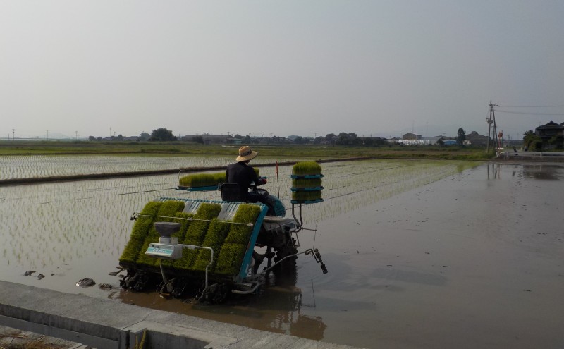 米 10kg 玄米 ゆめつくし お米 