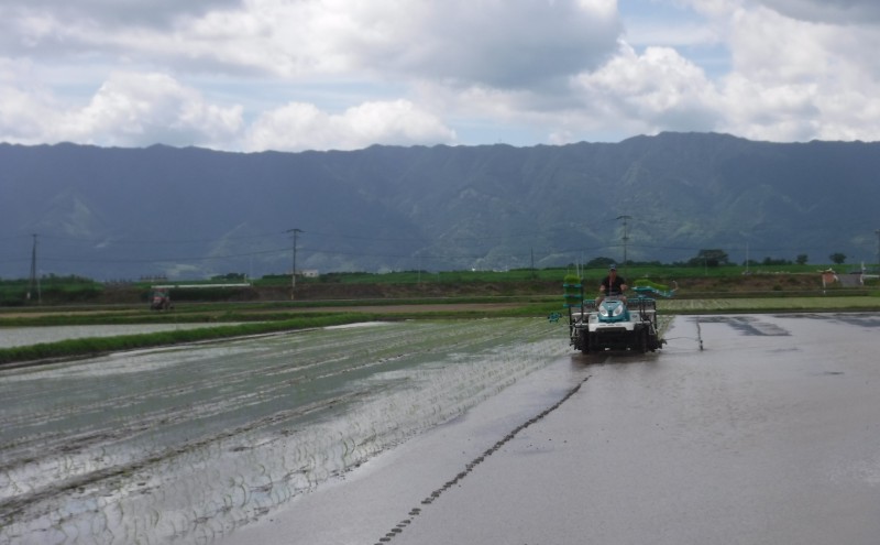米 10kg 精米 ゆめつくし お米 福岡県産 