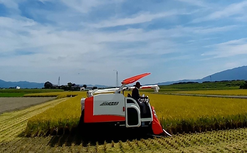 米 10kg 玄米 ゆめつくし お米 