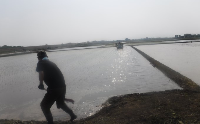 米 2kg 季節野菜 セット 精米 ゆめつくし お米 野菜 