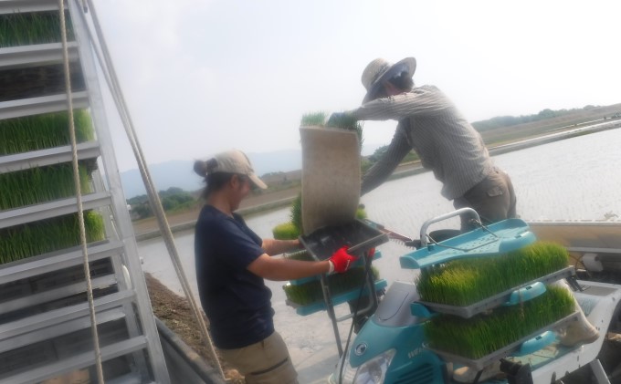 米 10kg 季節野菜 セット 玄米 ゆめつくし お米 詰合せ 