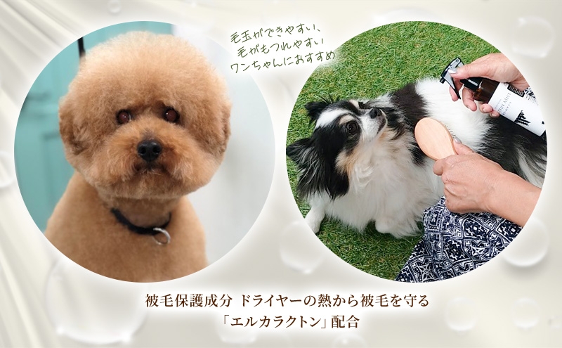 【犬用】リニューアル プロテインミスト 50ml・200ml セット 雑貨 日用品 ブラッシングスプレー 