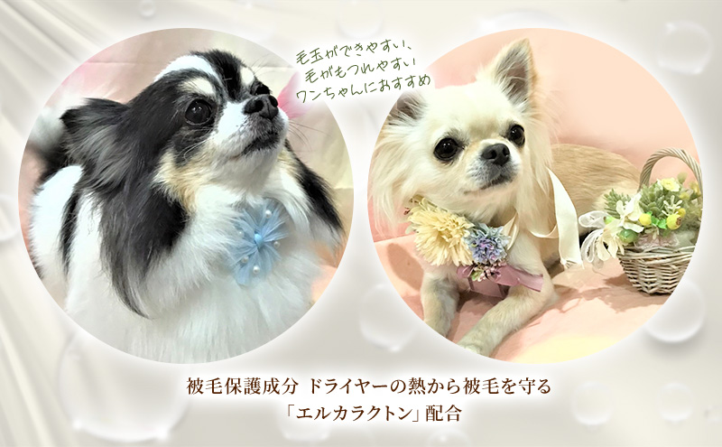 【犬用】リニューアル  プロテインミスト 50ml・200ml・詰替用 400ml セット 雑貨 日用品 ブラッシングスプレー 