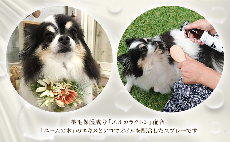 【犬用】リニューアル プロテインミスト　200ml（ふんわりサラサラの仕上がり・アーユルニームシャンプーとセットで使うと効果的） 雑貨 日用品 ブラッシングスプレー 