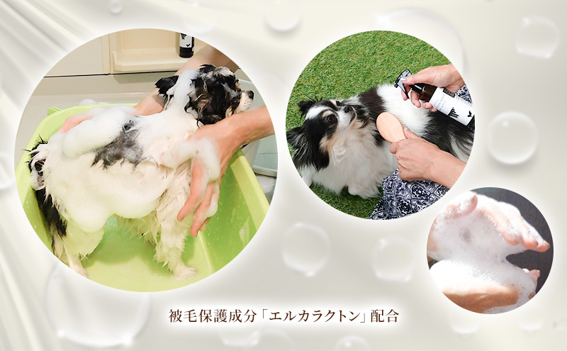【犬用】リニューアル アーユルニームシャンプー 200ml・プロテインミスト 200ml セット 雑貨 日用品 ブラッシングスプレー 