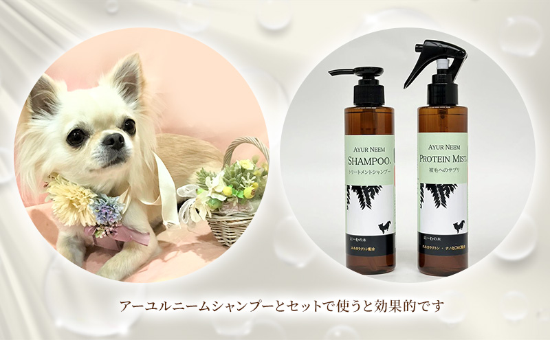 【犬用】リニューアル プロテインミスト　200ml（ふんわりサラサラの仕上がり・アーユルニームシャンプーとセットで使うと効果的） 雑貨 日用品 ブラッシングスプレー 