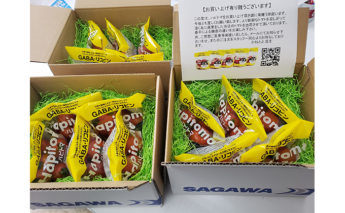 機能性表示食品 Hapitoma ハピトマ 糖度7（1kg）【配送不可：北海道・沖縄・離島】健康 ヘルシー GABA リコピン 人気 厳選 袋井市 野菜 トマト ミニトマト とまと 