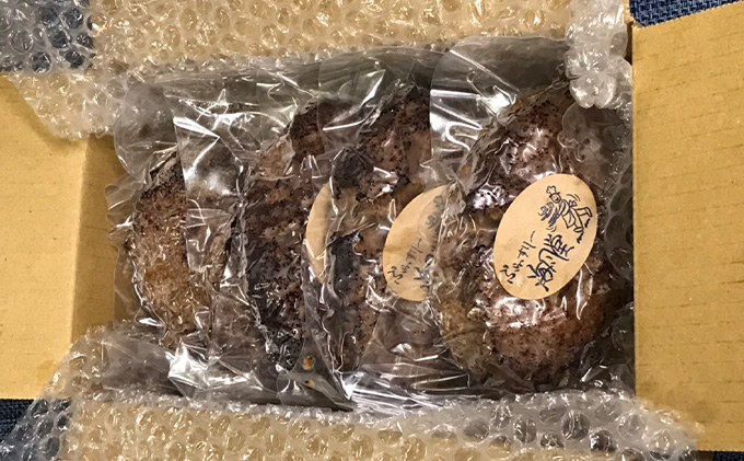 海風堂特製 牛肉 100%のジューシー ハンバーグ 4個 お肉 肉 おかず 牛 加工品 簡単 北海道 送料無料 道産 富良野 ふらの