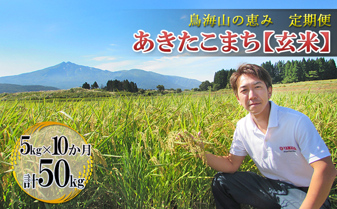 新米 米 お米 【定期便】5kg×10ヶ月 鳥海山の恵み 農家直送！ あきたこまち（玄米） 10カ月 10回 サブスク 
