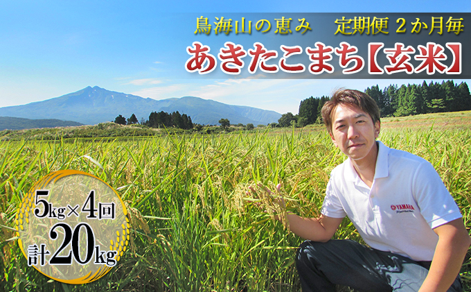 新米 米 お米 【定期便】2ヶ月ごとに5kg×4回 鳥海山の恵み 農家直送！ あきたこまち（玄米・隔月） 計20kg サブスク 