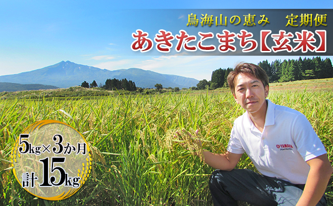 新米 米 お米 【定期便】5kg×3ヶ月 鳥海山の恵み 農家直送！ あきたこまち（玄米） 3カ月 3回 サブスク 