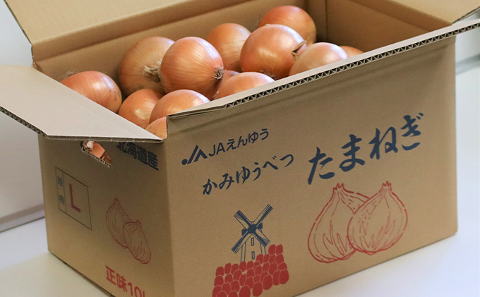先行受付 北海道産 玉葱 20kg  （10kg×2箱） たまねぎ 玉ねぎ 国産 産地直送 オホーツク 野菜 