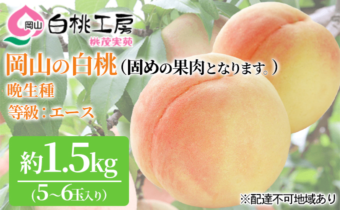 【岡山県赤磐市】固めの 桃 2026年 先行予約 白桃 晩生種 1.5kg 5〜6玉 もも モモ 岡山 国産 フルーツ 果物 ギフト 桃茂実苑