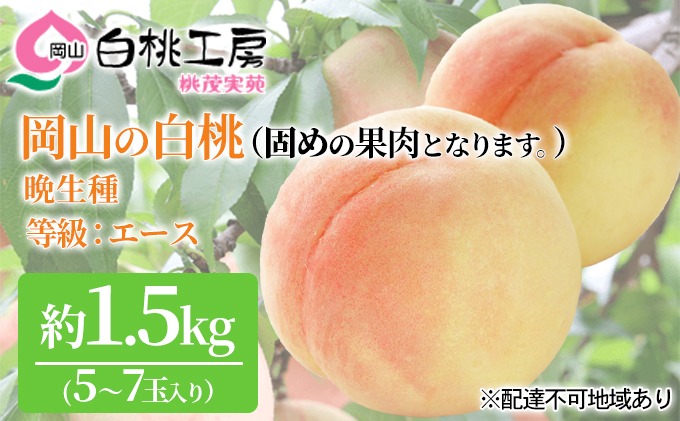 固めの 桃 2025年 先行予約 白桃 晩生種 等級 エース 約1.5kg 5～7玉 もも モモ 岡山 国産 フルーツ 果物 桃茂実苑 