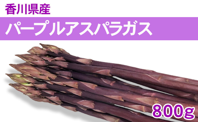 香川県東かがわ市のふるさと納税 パープルアスパラガス 800g 野菜 野菜セット
