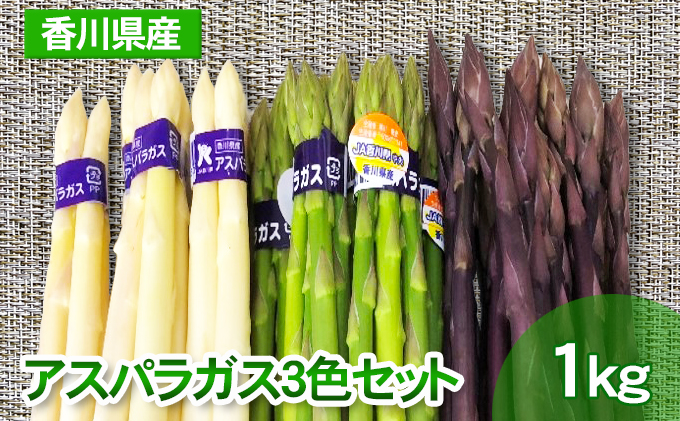 y쌧szAXpKX3FZbg 1kg  ؃Zbg