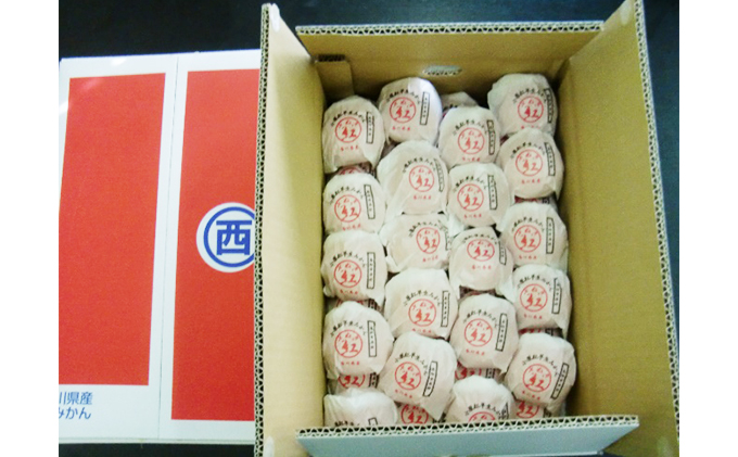 【香川県東かがわ市】越冬完熟さぬき紅みかん 約3kg 果物類 柑橘類 フルーツ 蜜柑 ミカン くだもの