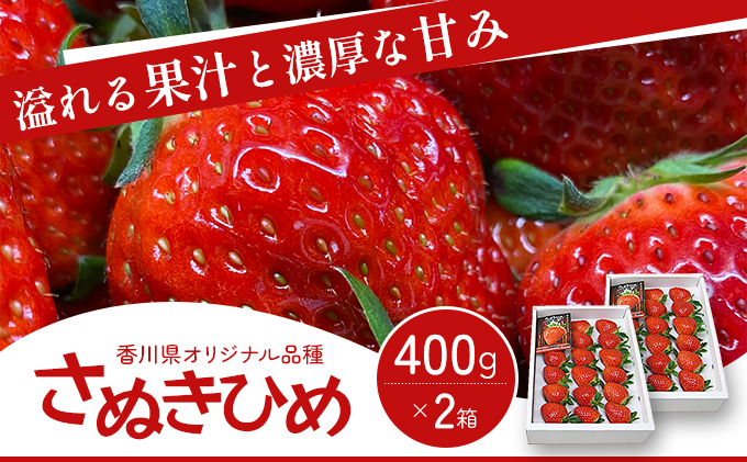【香川県東かがわ市】《高評価》 香川県オリジナル品種! いちご【さぬきひめ】化粧箱 400g×2箱( フルーツ 苺 さぬき姫 ギフト 取り寄せ 糖度 甘い 大粒 贈答 プレゼント 果物類 デザート ストロベリー ) 香川県東かがわ市