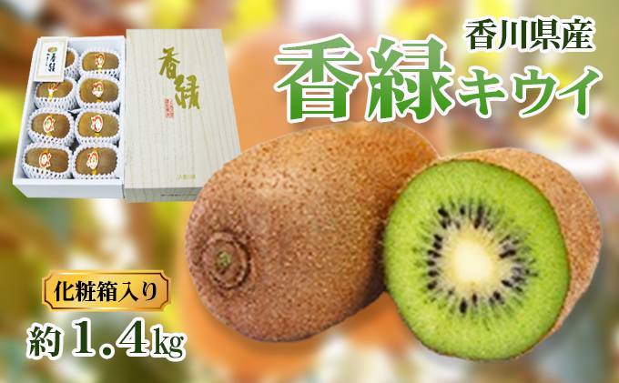 香緑 (こうりょく) キウイ1.4kg 化粧箱 キウイフルーツ フルーツ 果物 くだもの 果実 旬の果物 旬のフルーツ 香川 香川県 東かがわ市