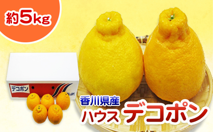 香川県東かがわ市のふるさと納税 ハウスデコポン 小玉 5kg 香川県産 デコポン でこぽん フルーツ 果物 くだもの 旬のフルーツ 旬の果物 柑橘 柑橘類 ハウス みかん ハウスみかん 香川 香川県 東かがわ市