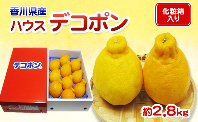 【香川県東かがわ市】ハウスデコポン 2.8kg 化粧箱 香川県産 デコポン でこぽん フルーツ 果物 くだもの 旬のフルーツ 旬の果物 柑橘 柑橘類 ハウス みかん ハウスみかん 香川 香川県 東かがわ市