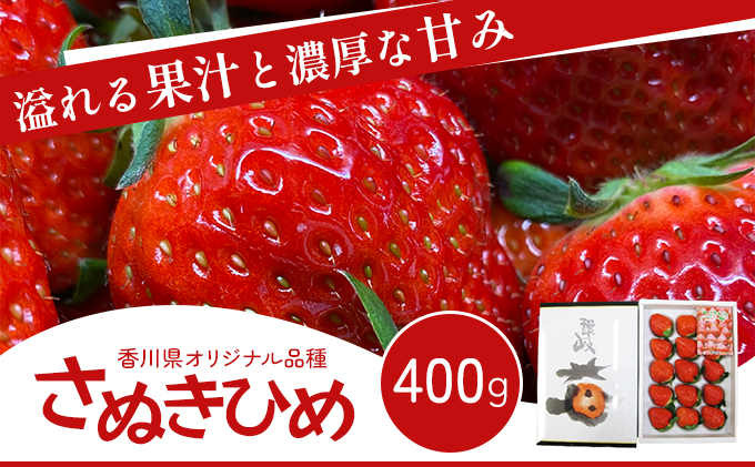 y쌧sz 쌧IWii ʂЂ 400g 쌧Y ϔ Nt  C`S t[c ʕ  {̃t[c {̉ʕ 嗱 ̂ꂽ ①  쌧 s