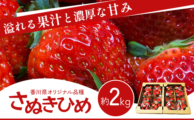 y쌧szs]t 쌧IWiiI yʂЂ߁z2kgi t[c ʕ  ʂP  x Â _ Yi Gi 嗱 fU[g lC Xgx[ ① j 쌧s