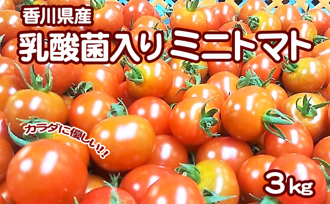 革手袋職人が仕上げる高級羊革手袋2点セット 紳士用革手袋