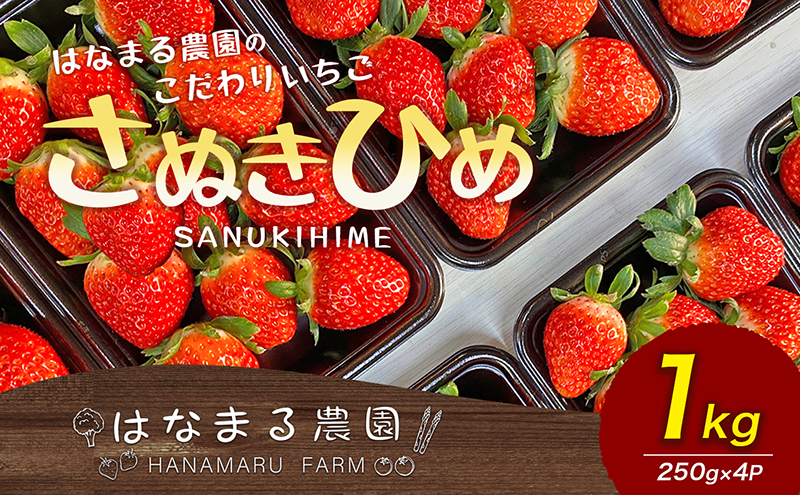 【香川県東かがわ市】いちご はなまる農園 こだわりいちご さぬきひめ 1kg 香川県産 苺 イチゴ フルーツ 果物 くだもの 旬のフルーツ 旬の果物 香川 香川県 東かがわ市