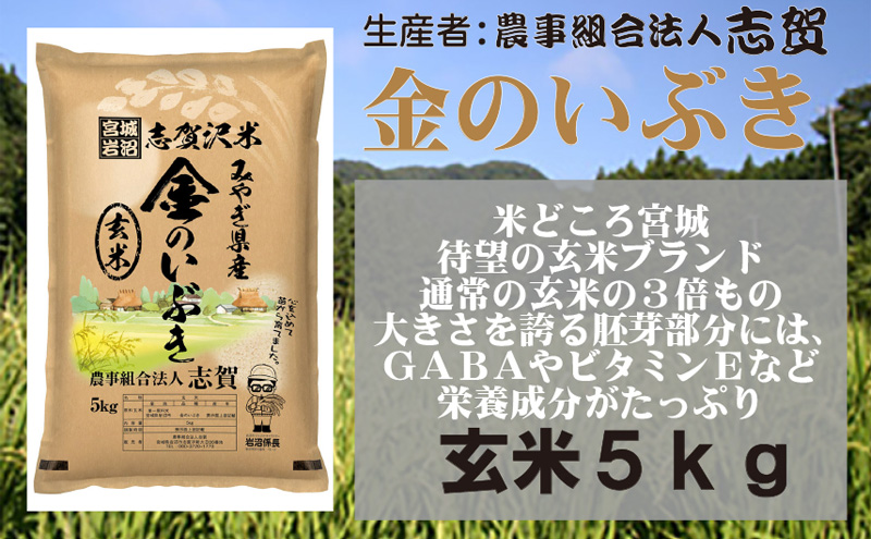 宮城県岩沼市のふるさと納税 【10月受付再開予定/令和7年産新米】玄米 金のいぶき 5kg 志賀沢米 岩沼産 お米 ブランド米 単一原料米 5キロ こめ コメ おこめ ご飯 ライス 玄米ごはん 玄米ご飯 きんのいぶき 金のいぶき玄米 東北 宮城県産 宮城米 宮城 宮城県 岩沼市
