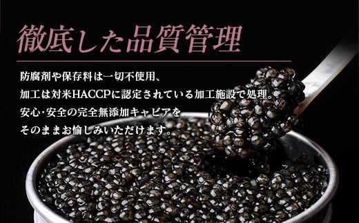 宮崎県日南市のふるさと納税 数量限定 宮崎キャビア1983 バエリ 12g 2個 セット 期間限定 キャビア塩付き 魚卵 魚介 魚貝 キャビア 国産 水産物 おつまみ 世界三大珍味 黒いダイヤ 贅沢 高級 上質 ご褒美 お土産 おすすめ ギフト プレゼント 贈り物 パーティー 宮崎県 日南市 送料無料_GG8-25-C