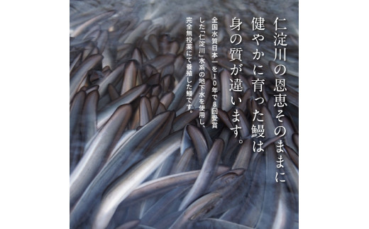 TRT002　“土佐料理司”三代目天の鰻蒲焼2尾セット／「仁淀川」水系の地下水使用 完全無投薬養殖 国産・高知県産〈高知市共通返礼品〉うなぎ 真空パック （ウナギ・たれセット） 