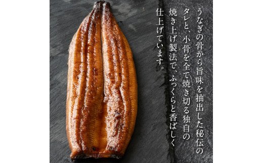 TRT002　“土佐料理司”三代目天の鰻蒲焼2尾セット／「仁淀川」水系の地下水使用 完全無投薬養殖 国産・高知県産〈高知市共通返礼品〉うなぎ 真空パック （ウナギ・たれセット） 