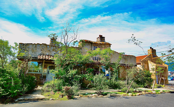 【新食覚デザート】冷やしクリームあんぱん10個 パン アンパン 